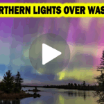 Aurora Borealis Washington