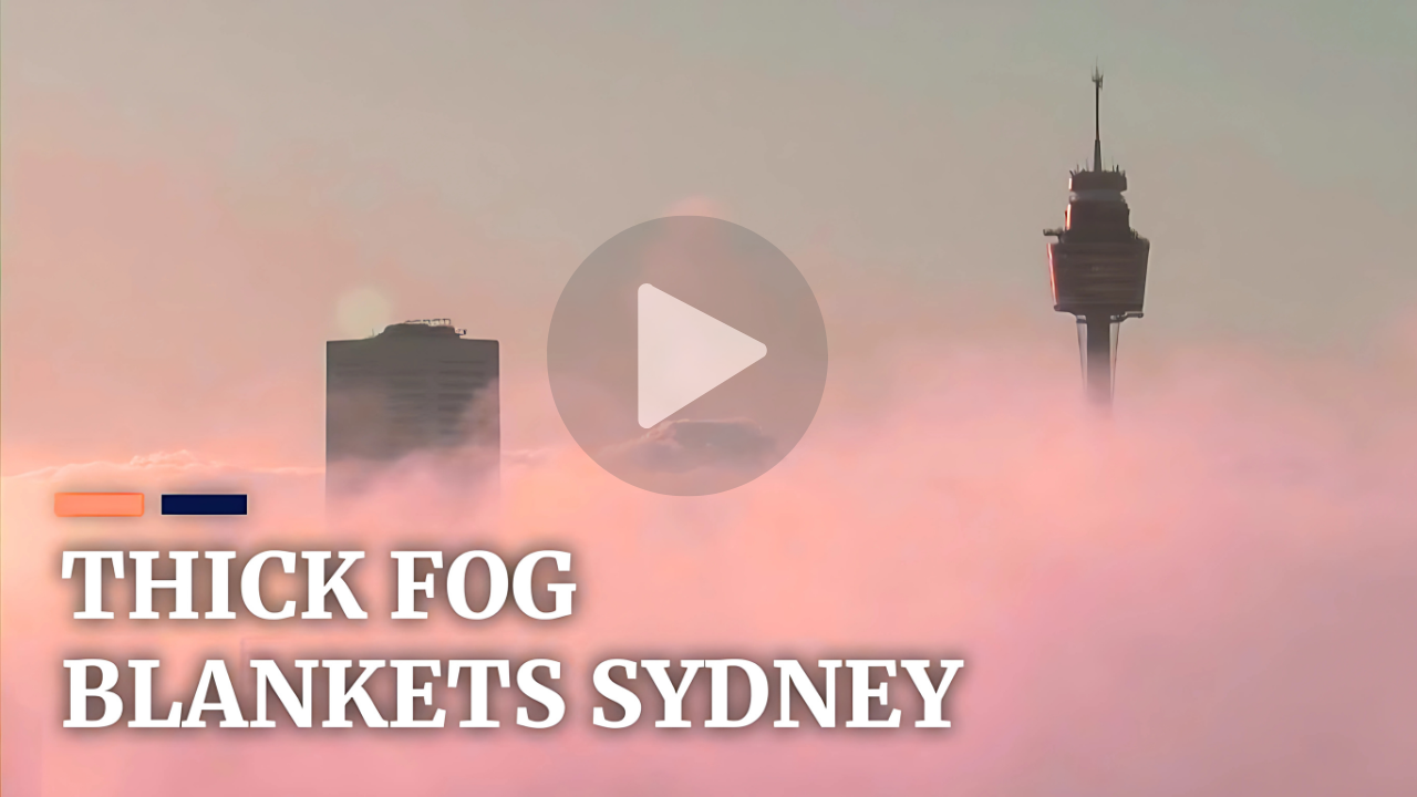 Sydney Fog